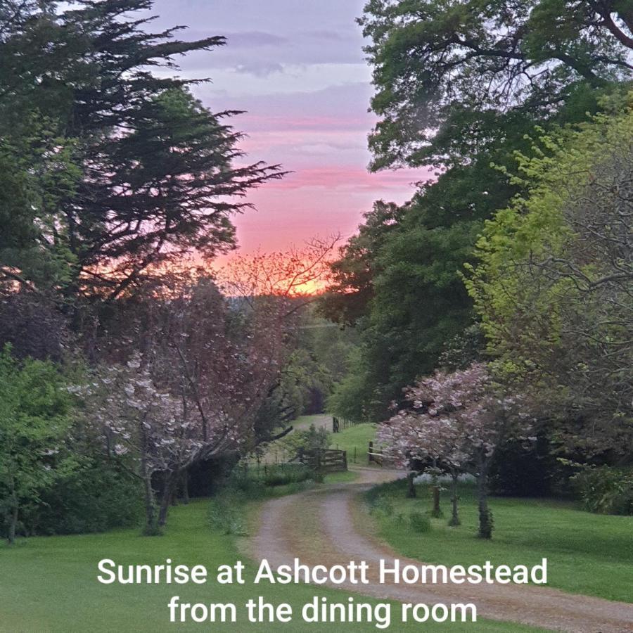 Takapau Ashcott Homestead Bed & Breakfast מראה חיצוני תמונה